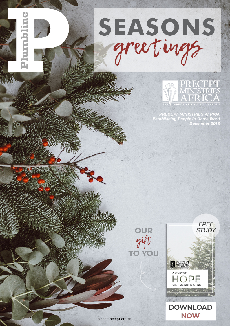 DEC 2018 Plumbline Interactive